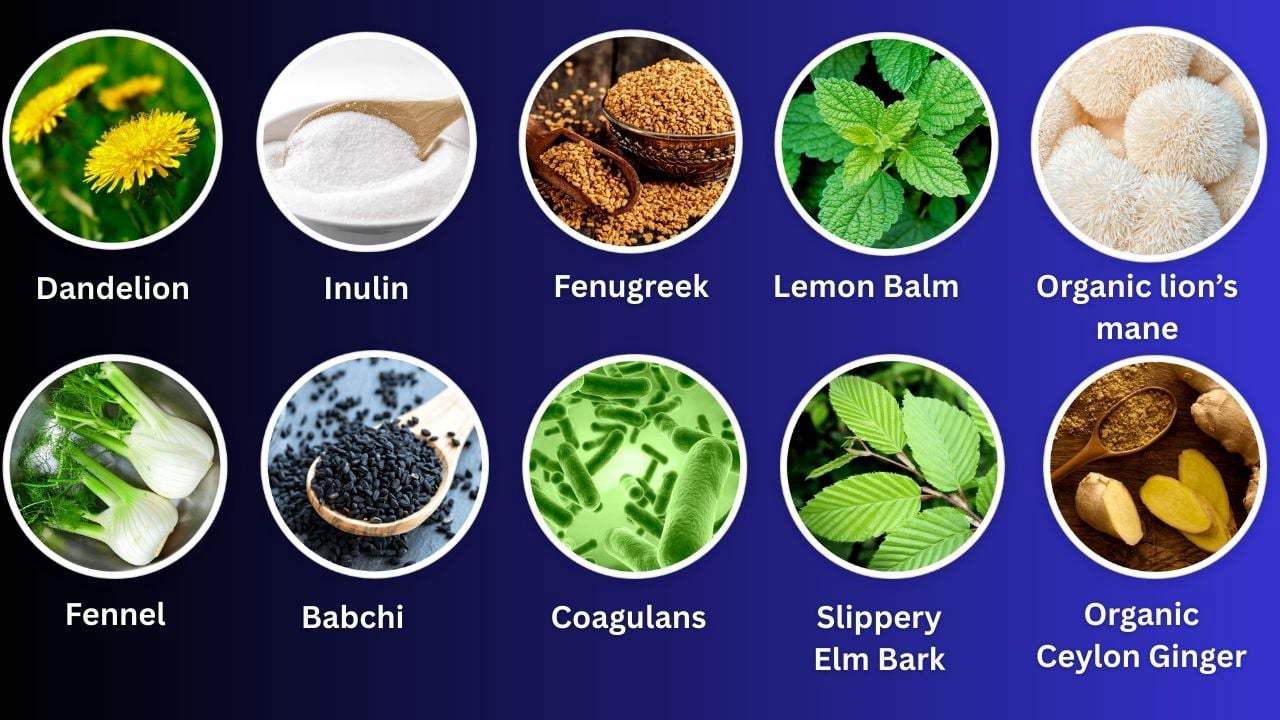 Ingredients of Primebiome